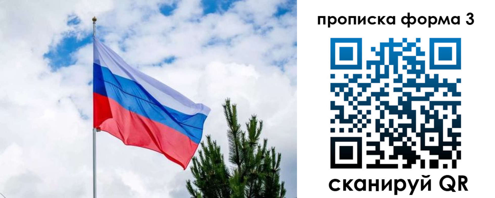 прописка для школы в Истре